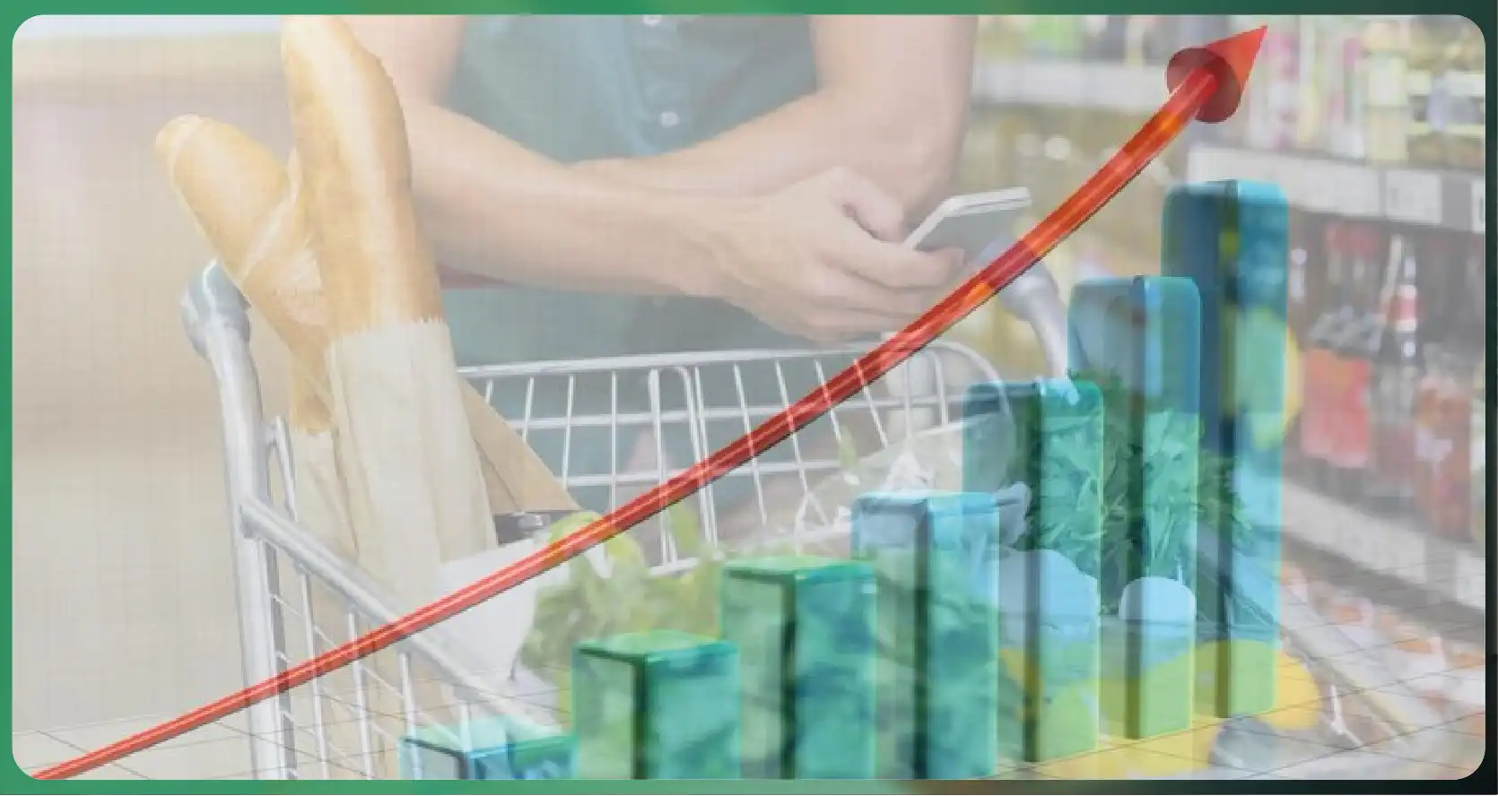 Bengaluru Grocery Price and Availability Comparison