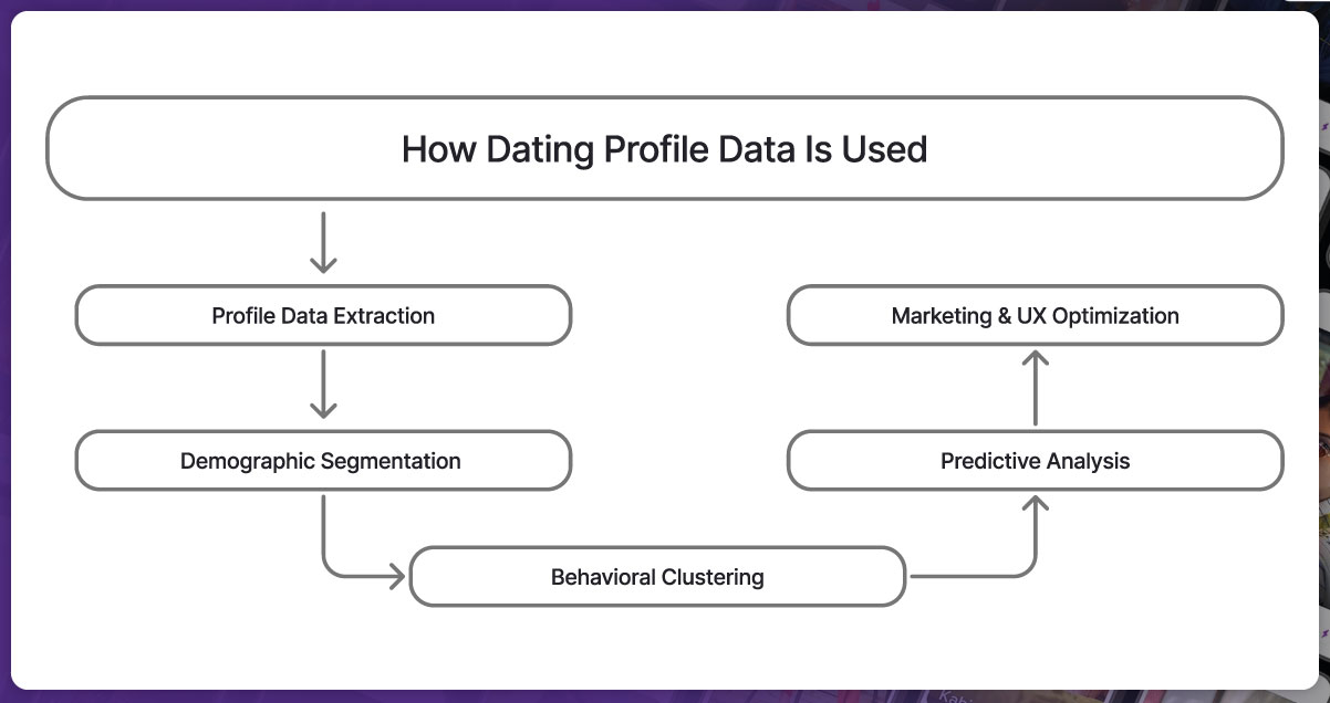 Infographic-How-Dating-Profile-Data-Is-Used