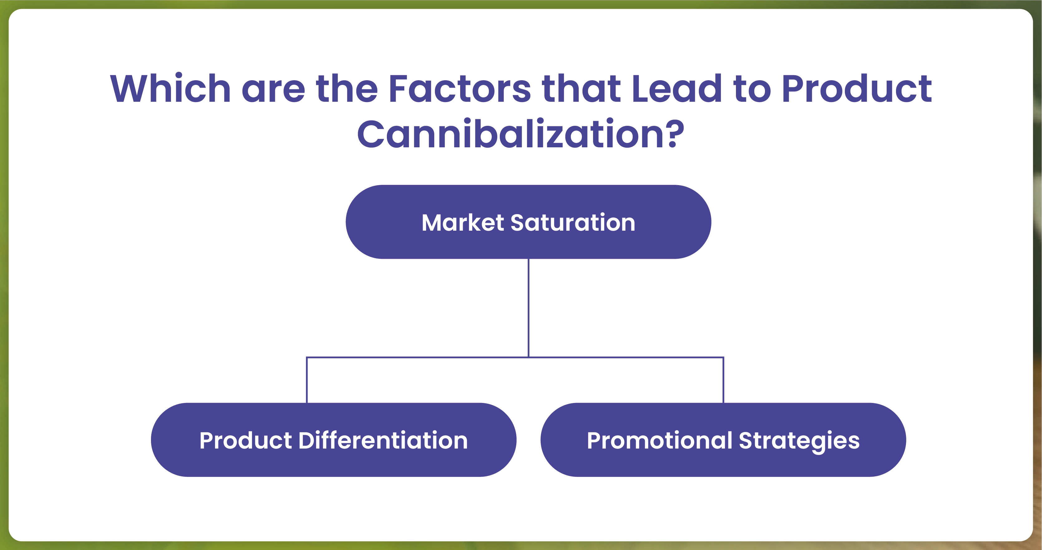 Which-are-the-Factors-that-Lead-to-Product-Cannibalization-01
