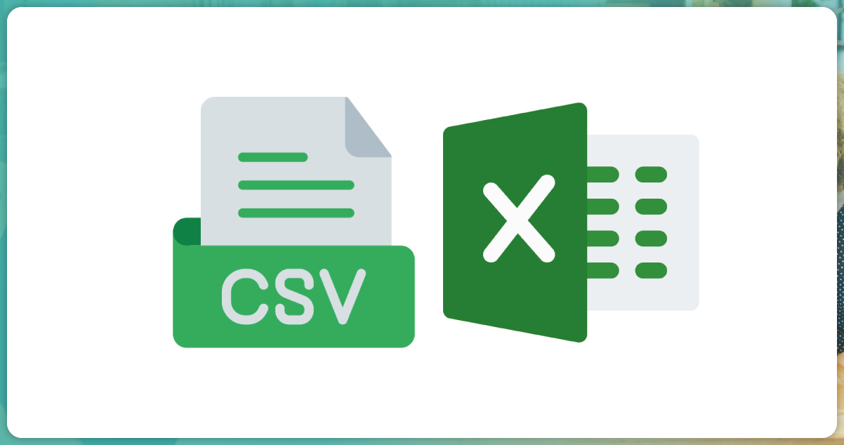 Proficiency-in-CSV-Excel-Formatting
