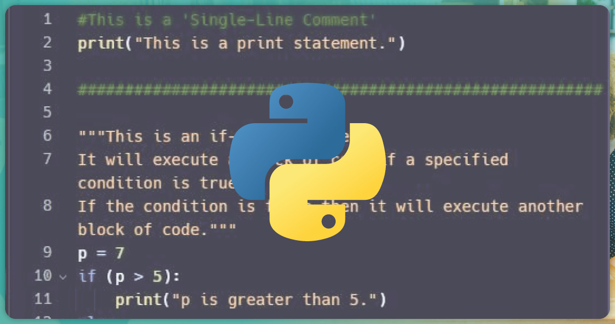 Python-Proficiency-for-Seamless-Execution