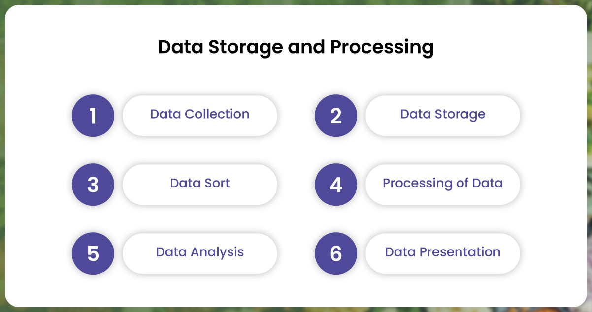 Data-Storage-and-Processing