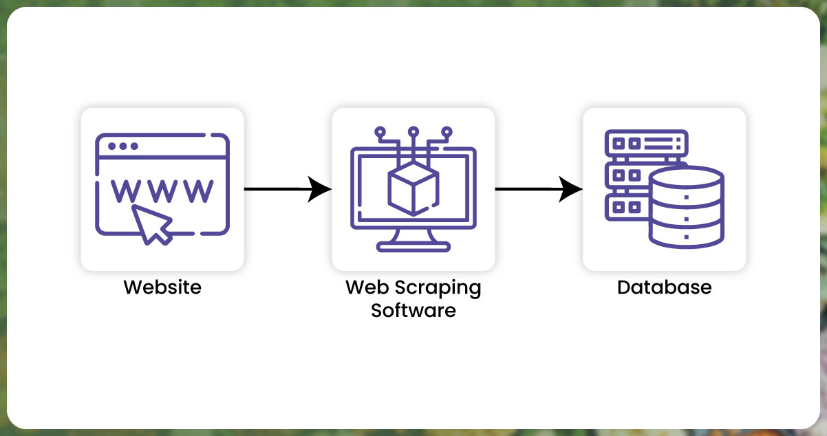 Web-Scraping-The-Solution-to-Data-Collection