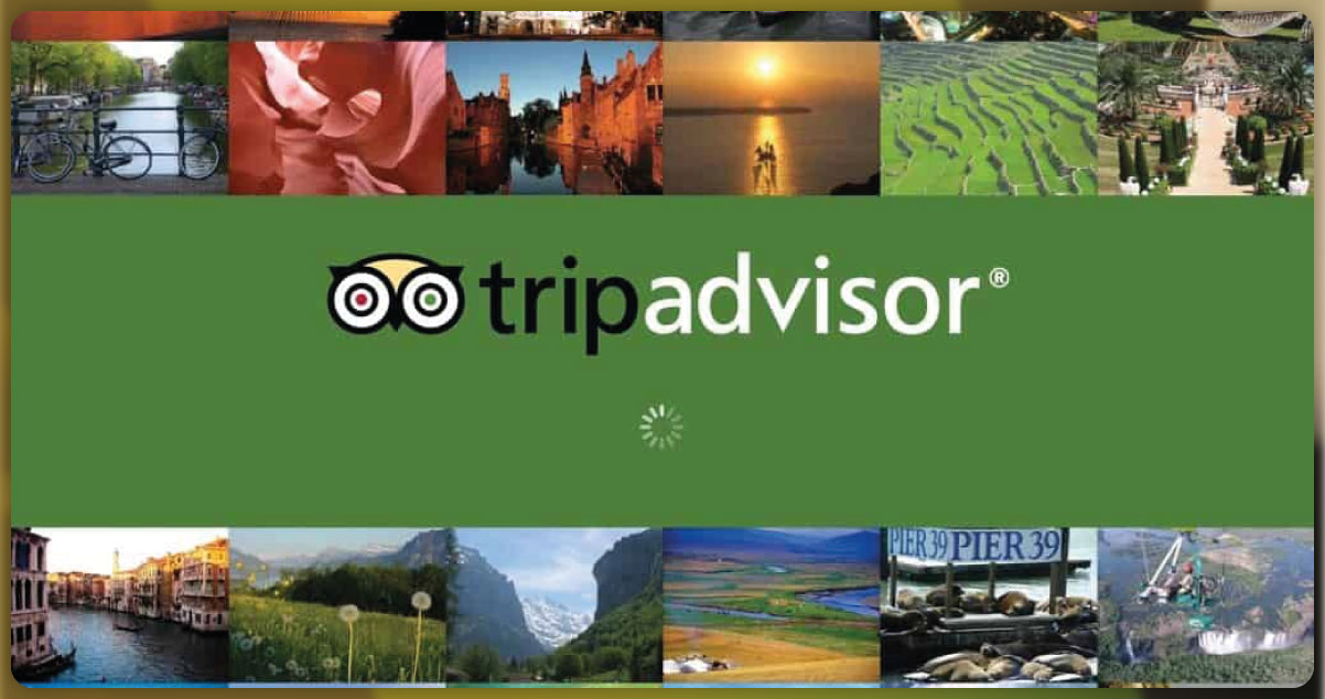 Importance-of-Scraping-Data-from-TripAdvisor