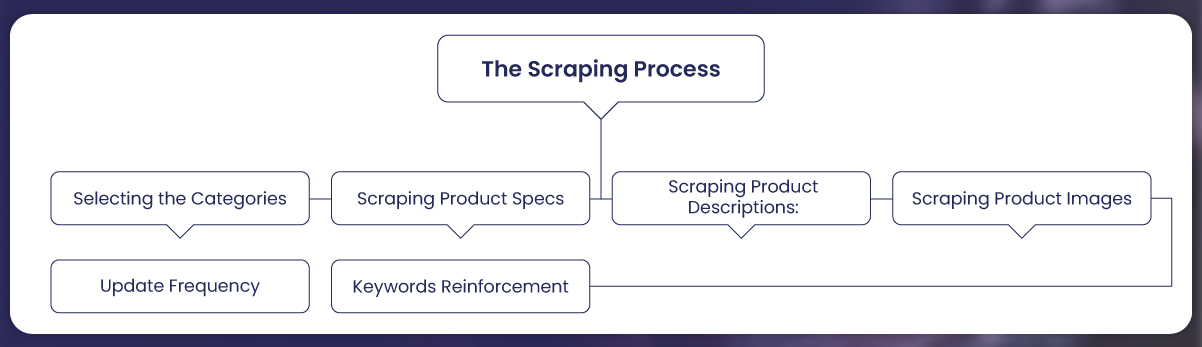 The-Scraping-Process