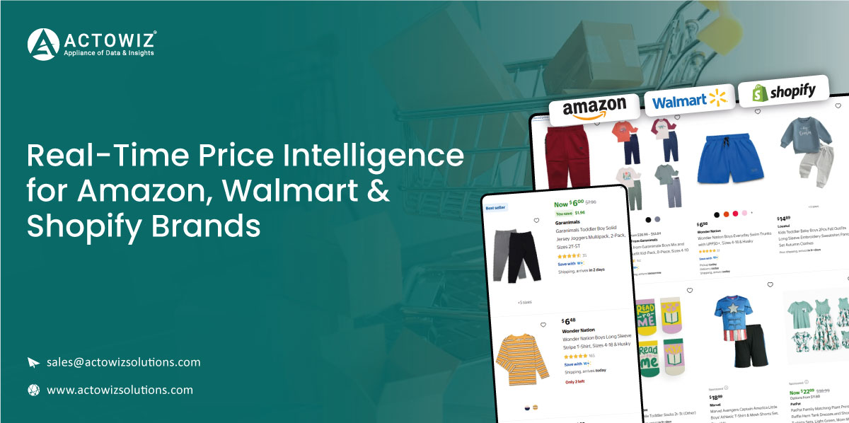 Case-Study-Real-Time-Price-Intelligence-for-Amazon,-Walmart-&-Shopify-Brands